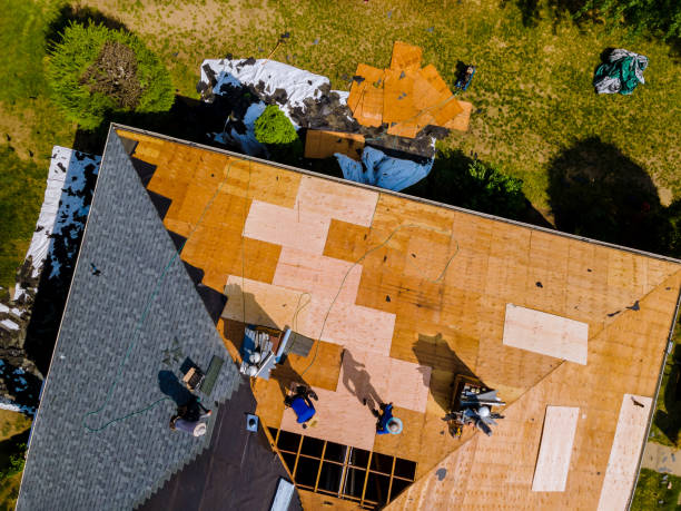 Best Slate Roofing Contractor  in Ridge Manor, FL