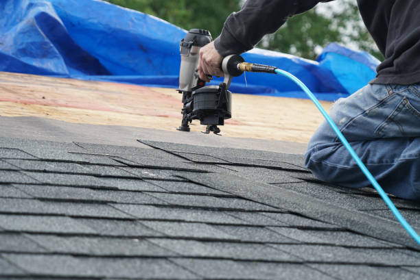 Best Gutter Installation and Roofing  in Ridge Manor, FL
