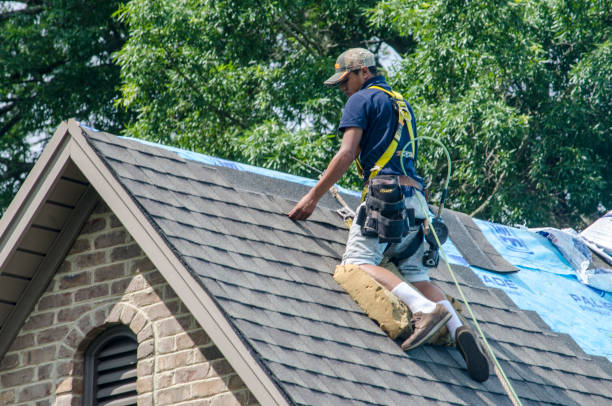 Best Metal Roofing Contractor  in Ridge Manor, FL